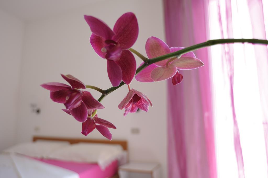 Solemare Hotel E Residence ميسانو ادرياتيكو المظهر الخارجي الصورة
